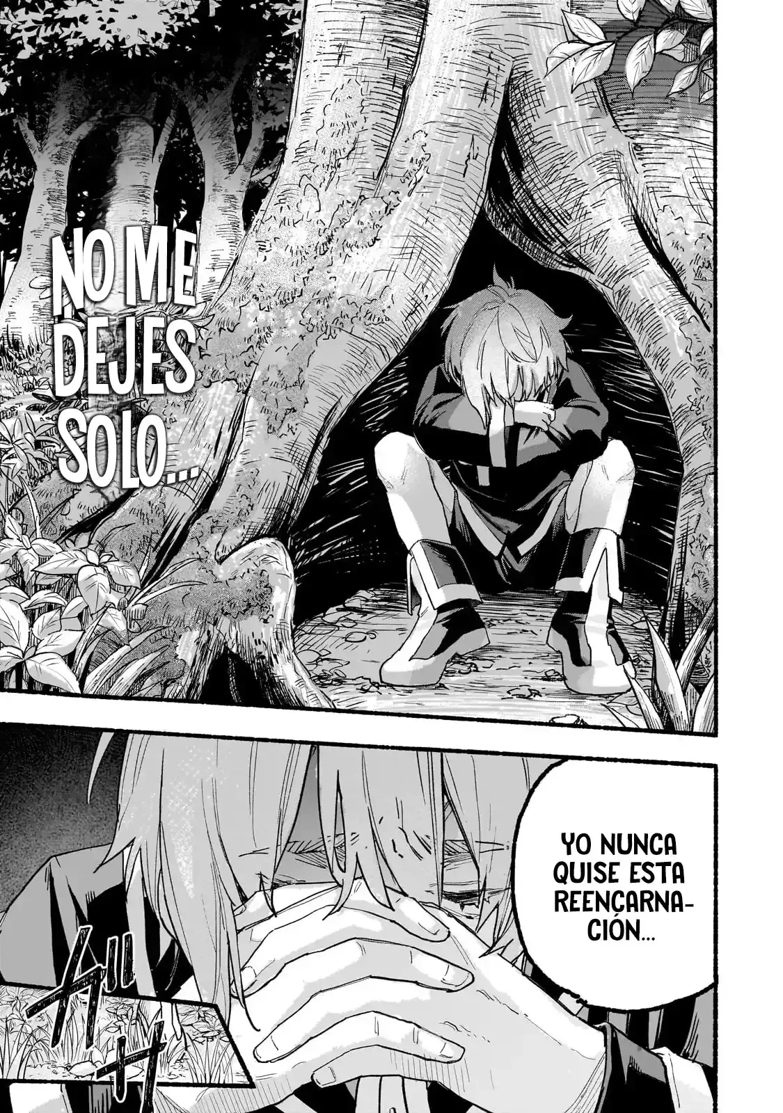 La reencarnación en otro mundo de Aldo Capitulo 1: Familia página 35