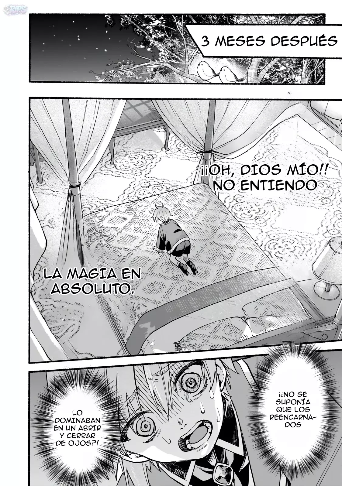 La reencarnación en otro mundo de Aldo Capitulo 2 página 31