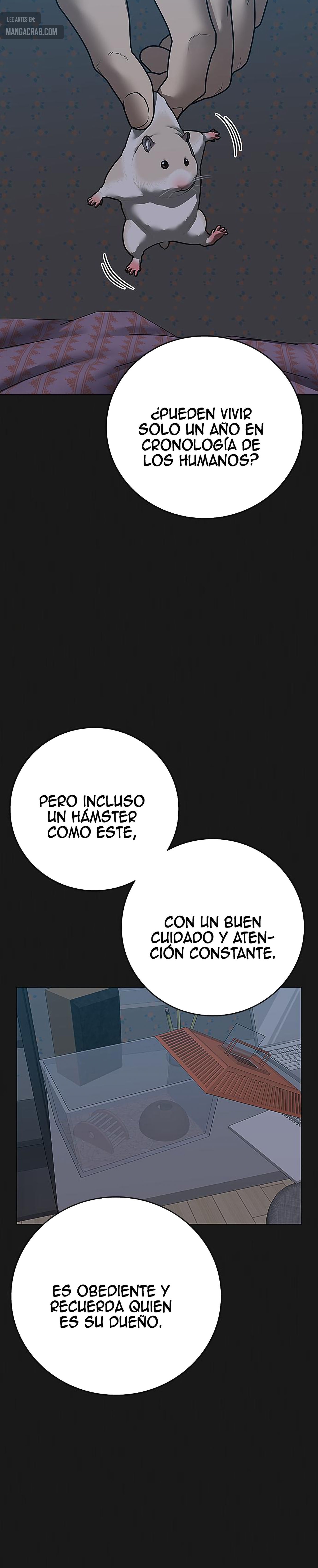 Reality Quest Capitulo 84 página 3