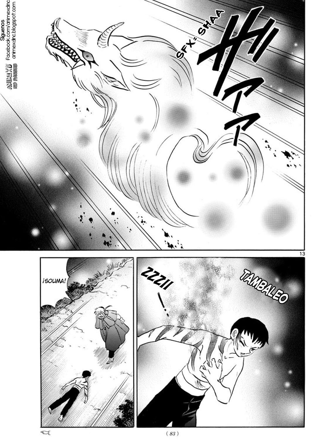 Mao Capitulo 73: La reliquia de la familia Kagami página 14