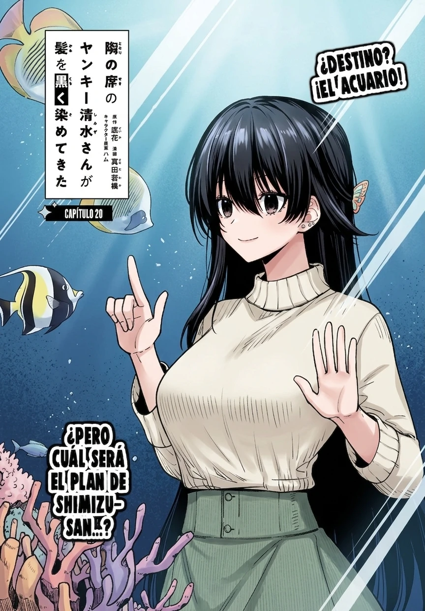 Tonari no Seki no Yankee Shimizu-san ga Kami wo Kuroku Somete Kita Capitulo 20 página 8