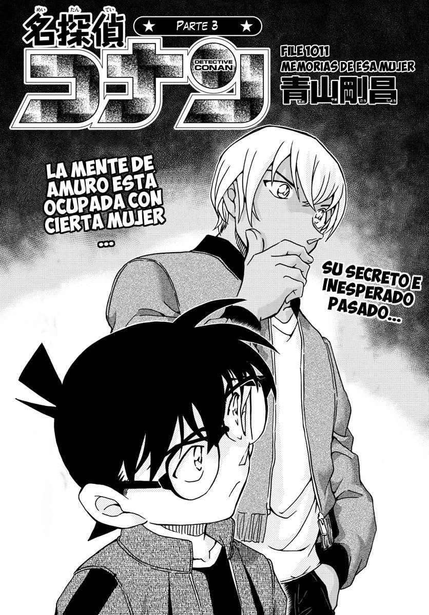 Detective Conan Capitulo 1011: Memorias de esa mujer página 2