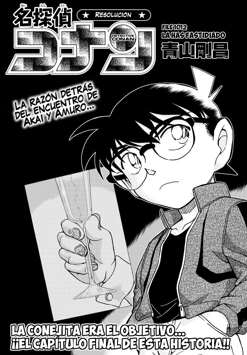 Detective Conan Capitulo 1012: La has fastidiado página 2