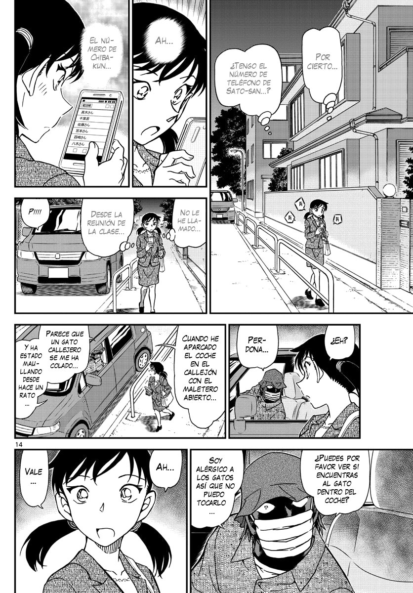 Detective Conan Capitulo 1016: Señal de "Prohibido aparcar" página 15