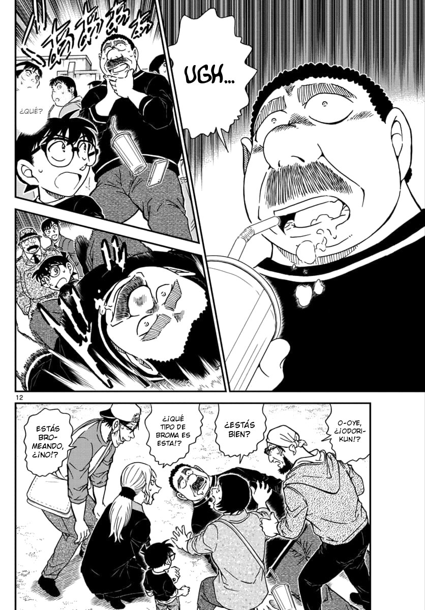 Detective Conan Capitulo 1024: El Interrogatorio de Sera página 12