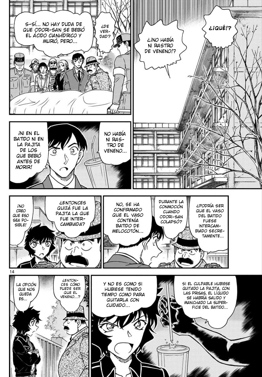 Detective Conan Capitulo 1024: El Interrogatorio de Sera página 14