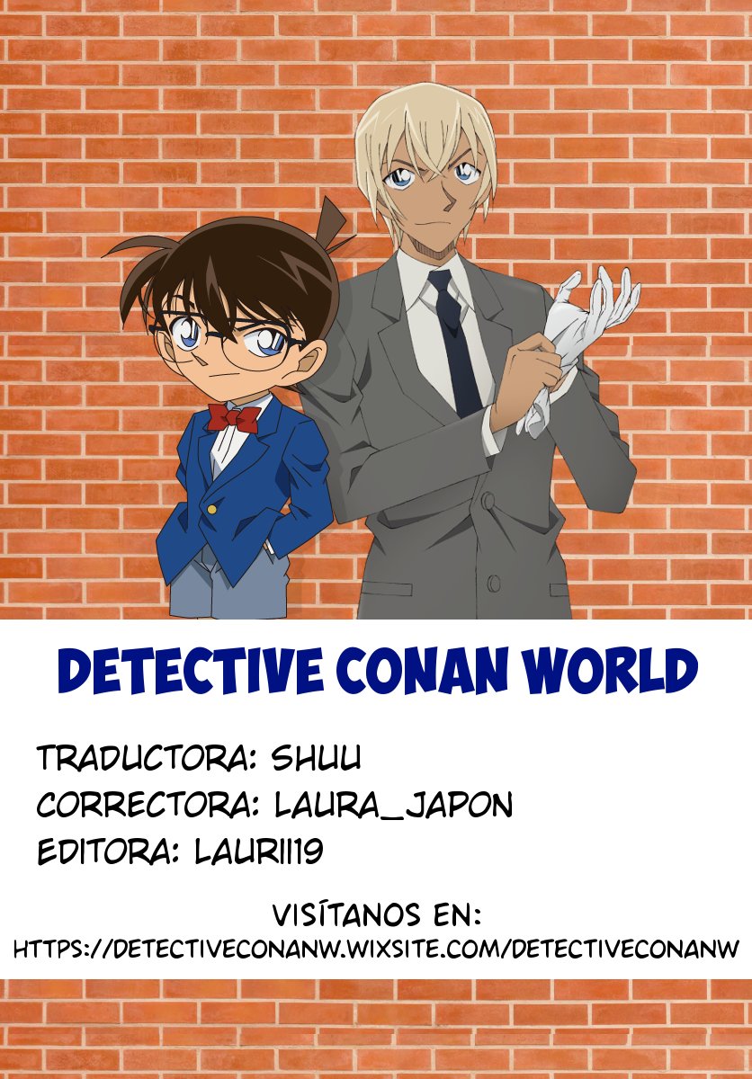 Detective Conan Capitulo 1024: El Interrogatorio de Sera página 17