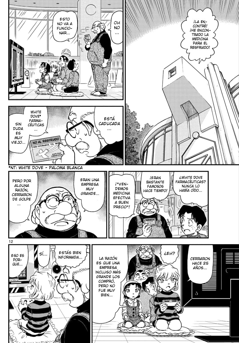 Detective Conan Capitulo 1025: Un chico maduro página 12