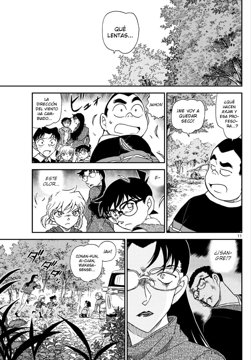 Detective Conan Capitulo 1032: Coleccionando plantas salvajes comestibles página 12