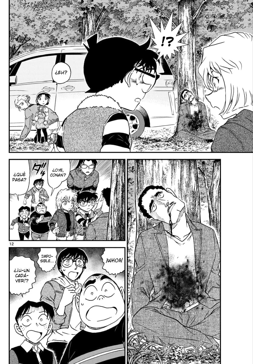 Detective Conan Capitulo 1032: Coleccionando plantas salvajes comestibles página 13