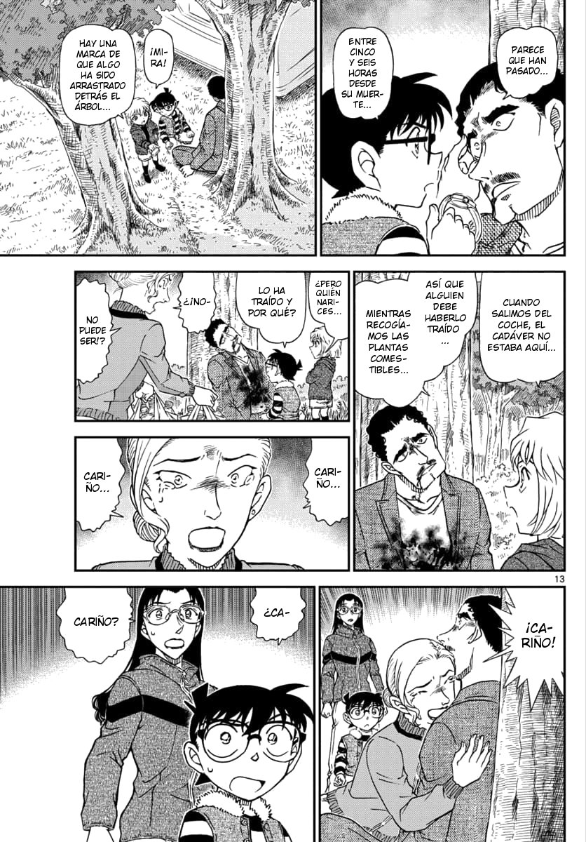 Detective Conan Capitulo 1032: Coleccionando plantas salvajes comestibles página 14