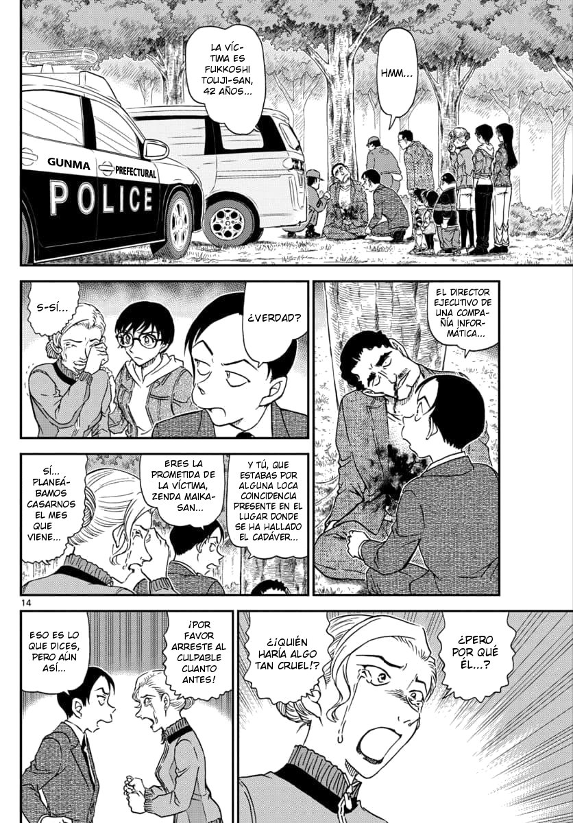 Detective Conan Capitulo 1032: Coleccionando plantas salvajes comestibles página 15