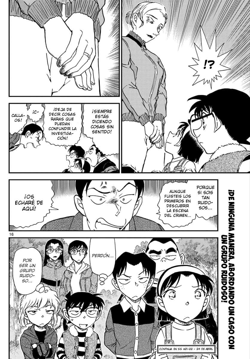 Detective Conan Capitulo 1032: Coleccionando plantas salvajes comestibles página 17