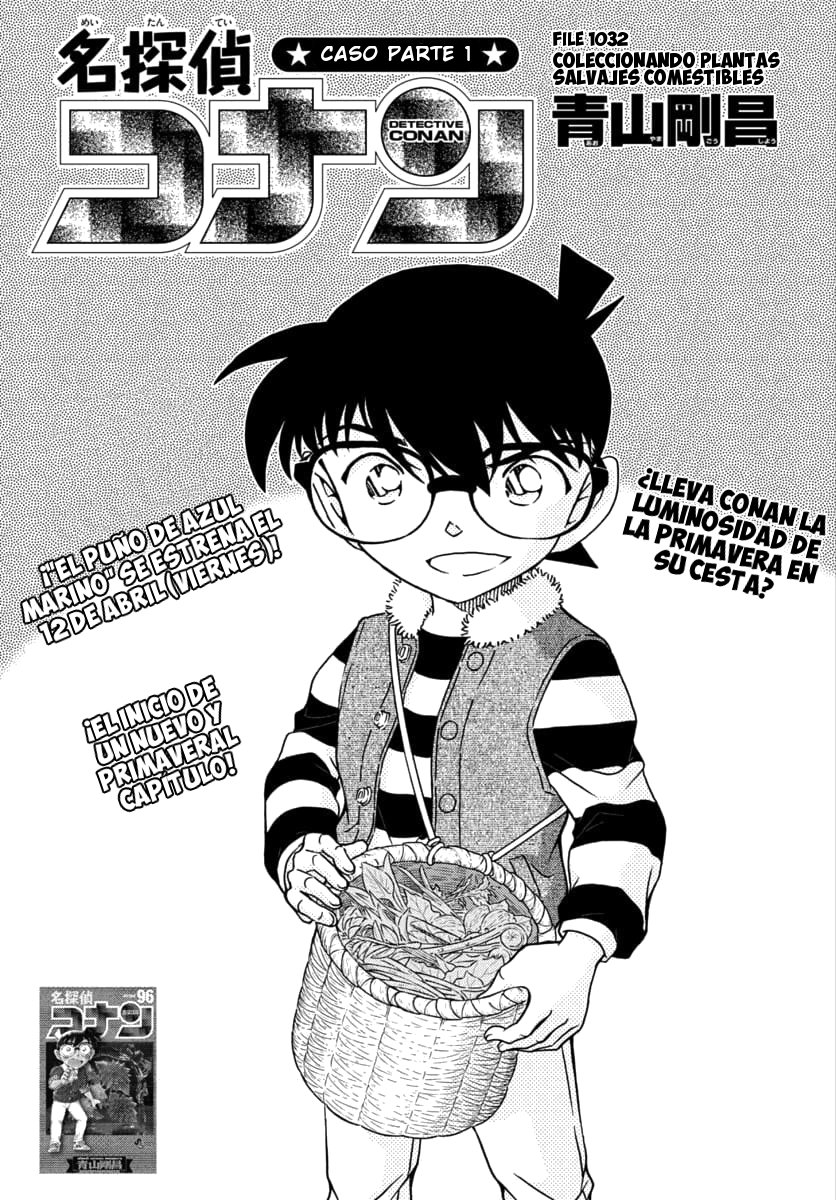 Detective Conan Capitulo 1032: Coleccionando plantas salvajes comestibles página 2