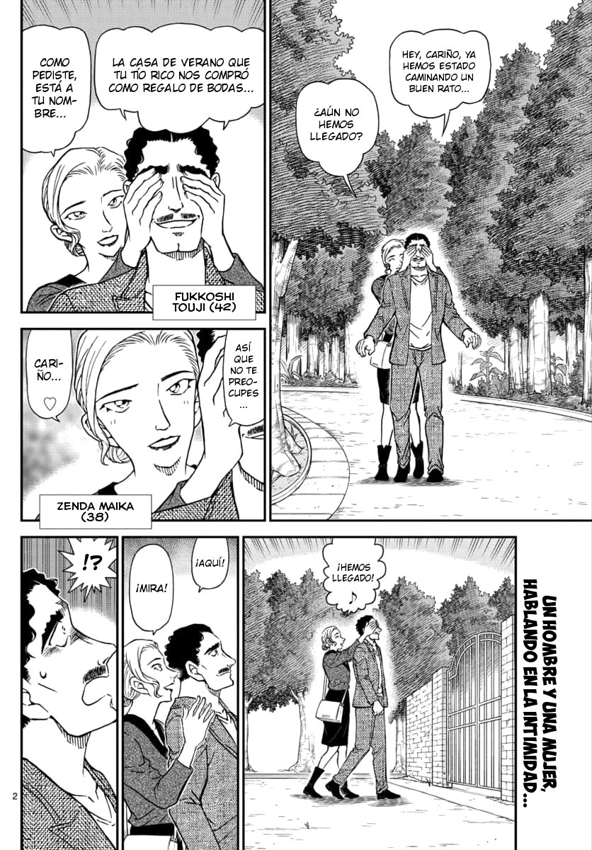Detective Conan Capitulo 1032: Coleccionando plantas salvajes comestibles página 3