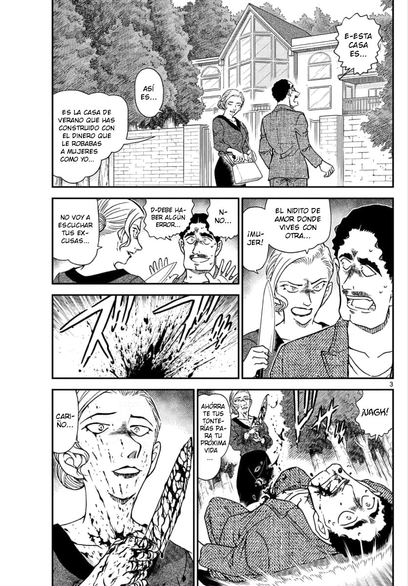 Detective Conan Capitulo 1032: Coleccionando plantas salvajes comestibles página 4
