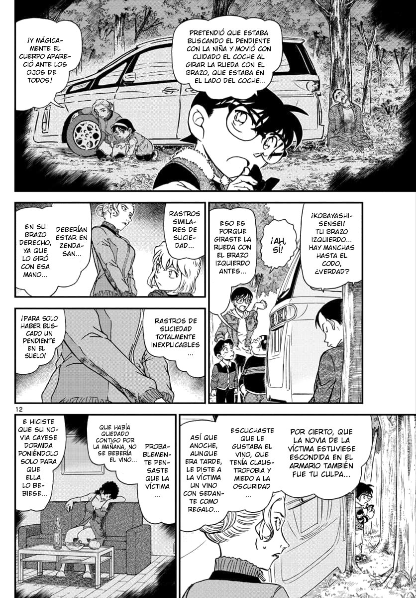Detective Conan Capitulo 1034: Ya que eres un poco torpe página 12