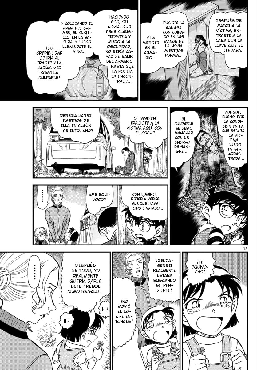 Detective Conan Capitulo 1034: Ya que eres un poco torpe página 13
