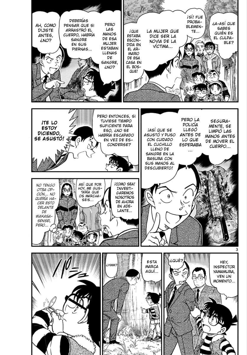 Detective Conan Capitulo 1034: Ya que eres un poco torpe página 3