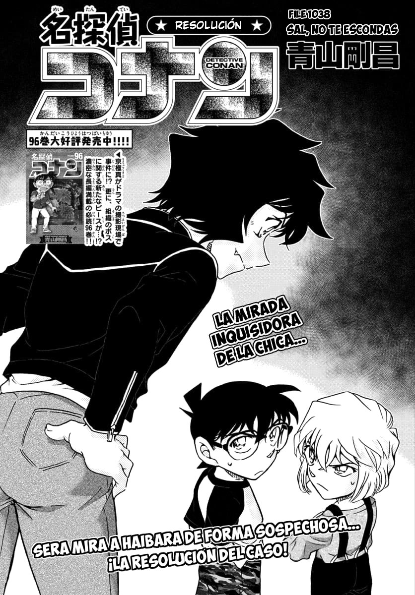 Detective Conan Capitulo 1038: Sal, no te escondas página 2