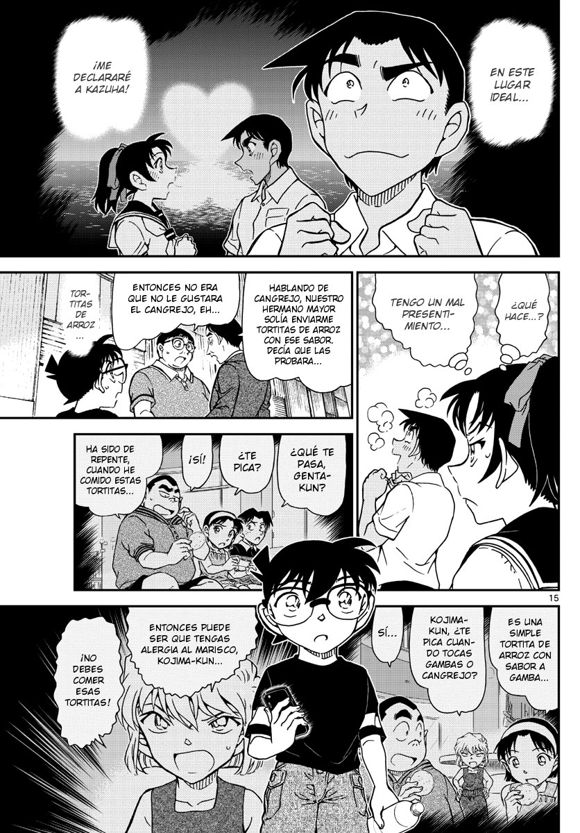 Detective Conan Capitulo 1041: Hermanos reunidos después de 30 años página 15