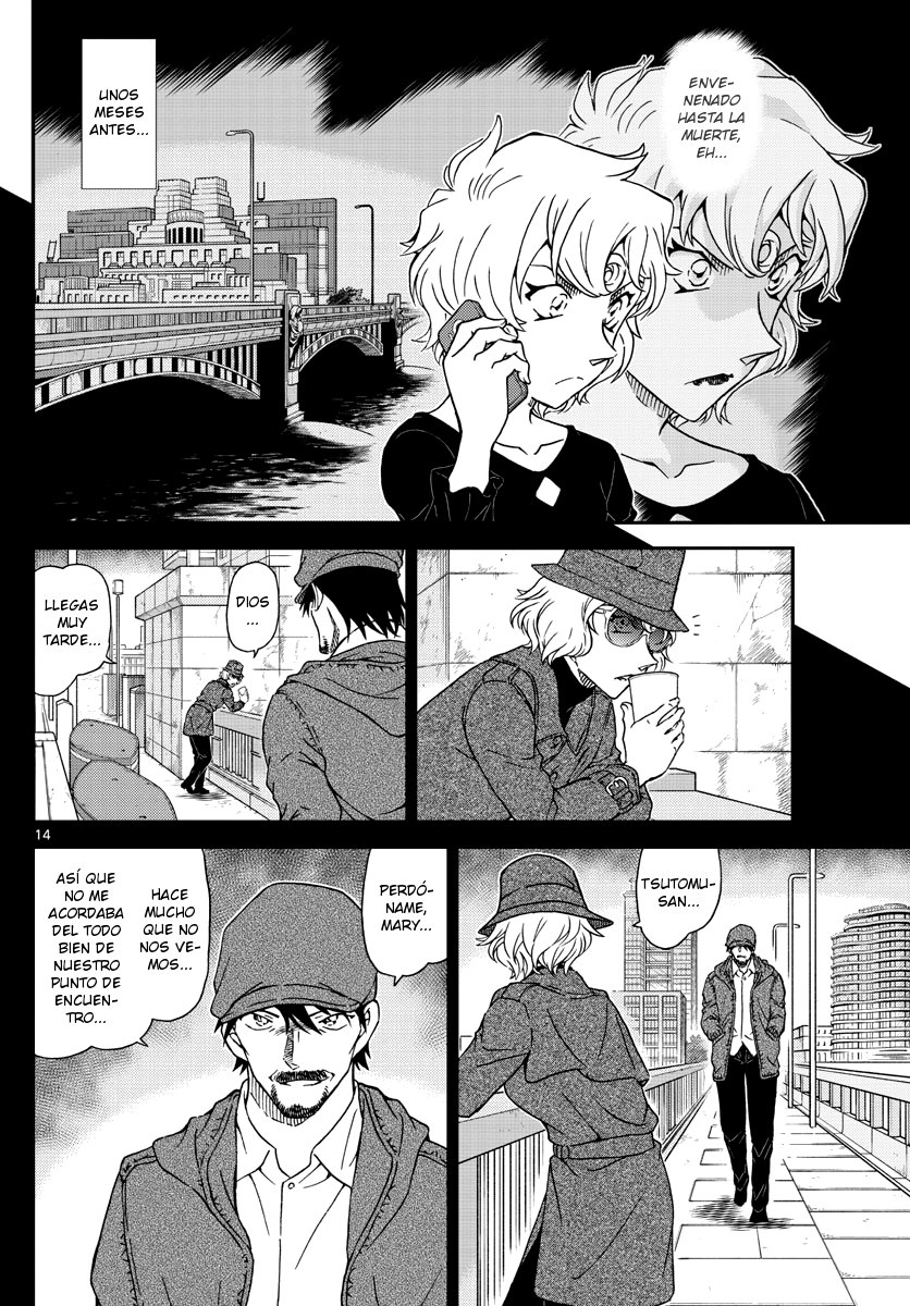 Detective Conan Capitulo 1048: ¿Por qué lloras...? página 14