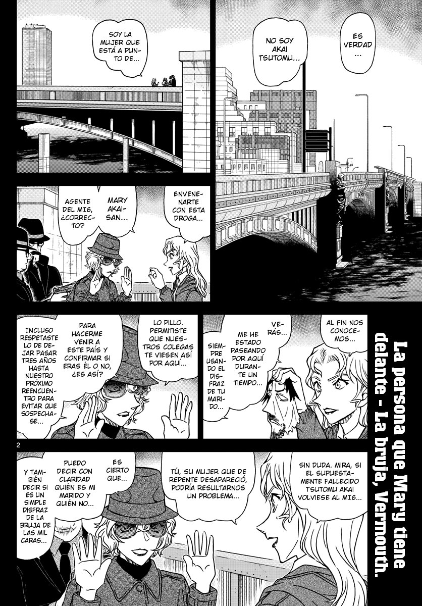 Detective Conan Capitulo 1049: ¡Es increíble! página 2