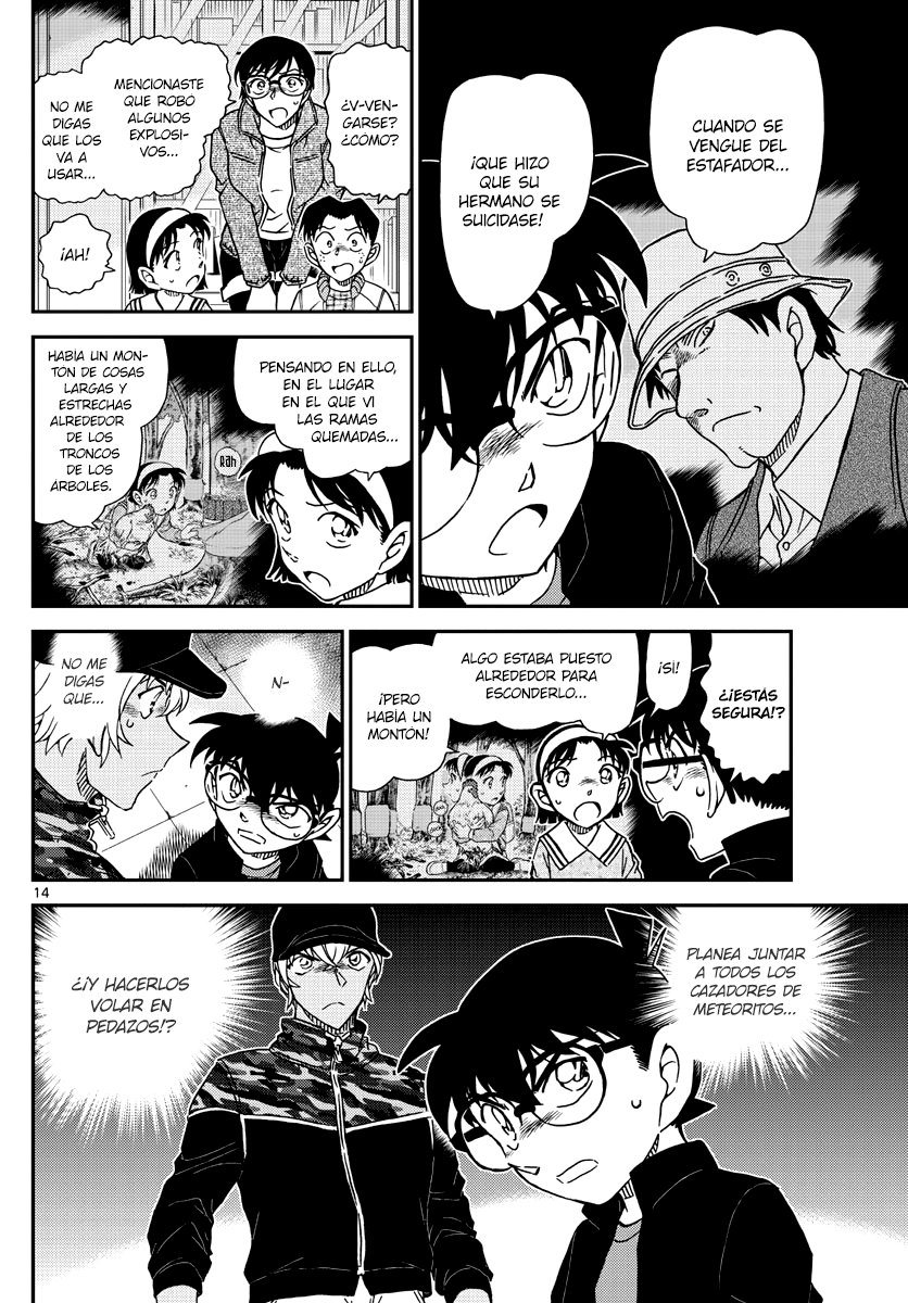 Detective Conan Capitulo 1053: Luz página 14