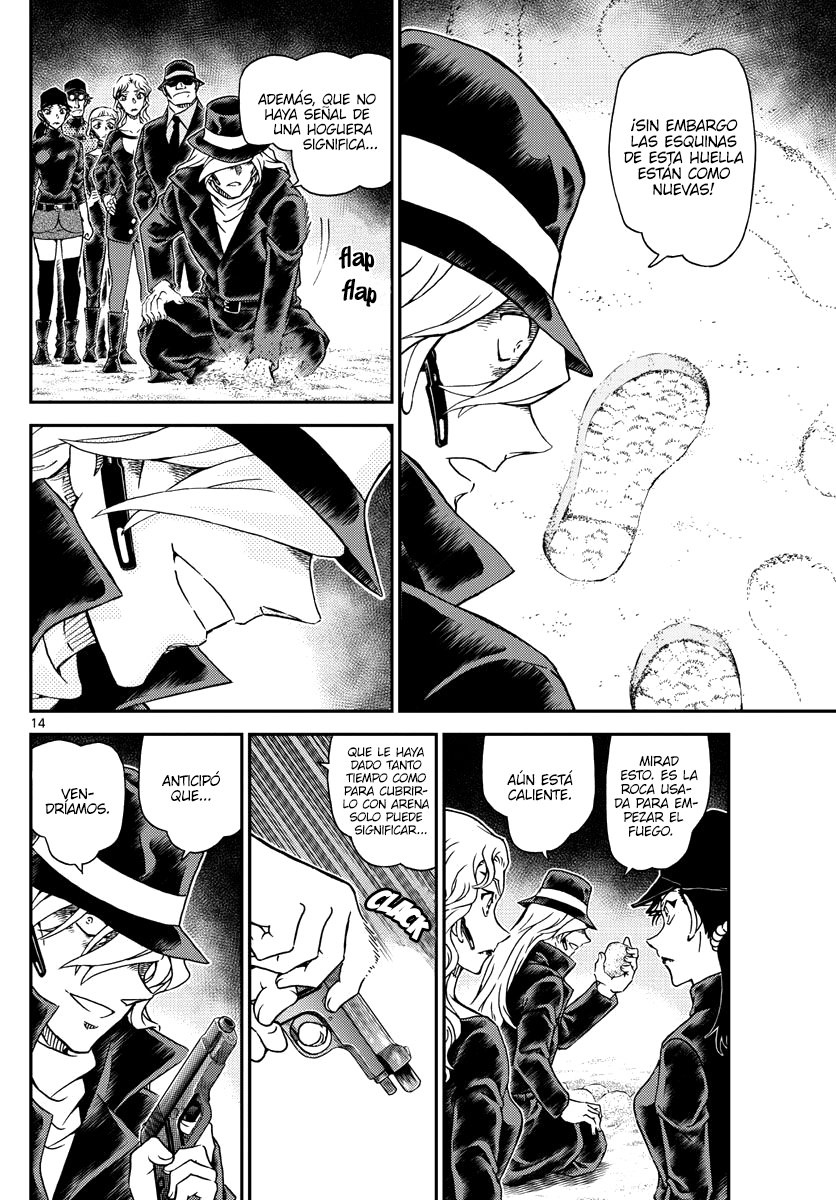 Detective Conan Capitulo 1064: Una luz en la oscuridad página 14