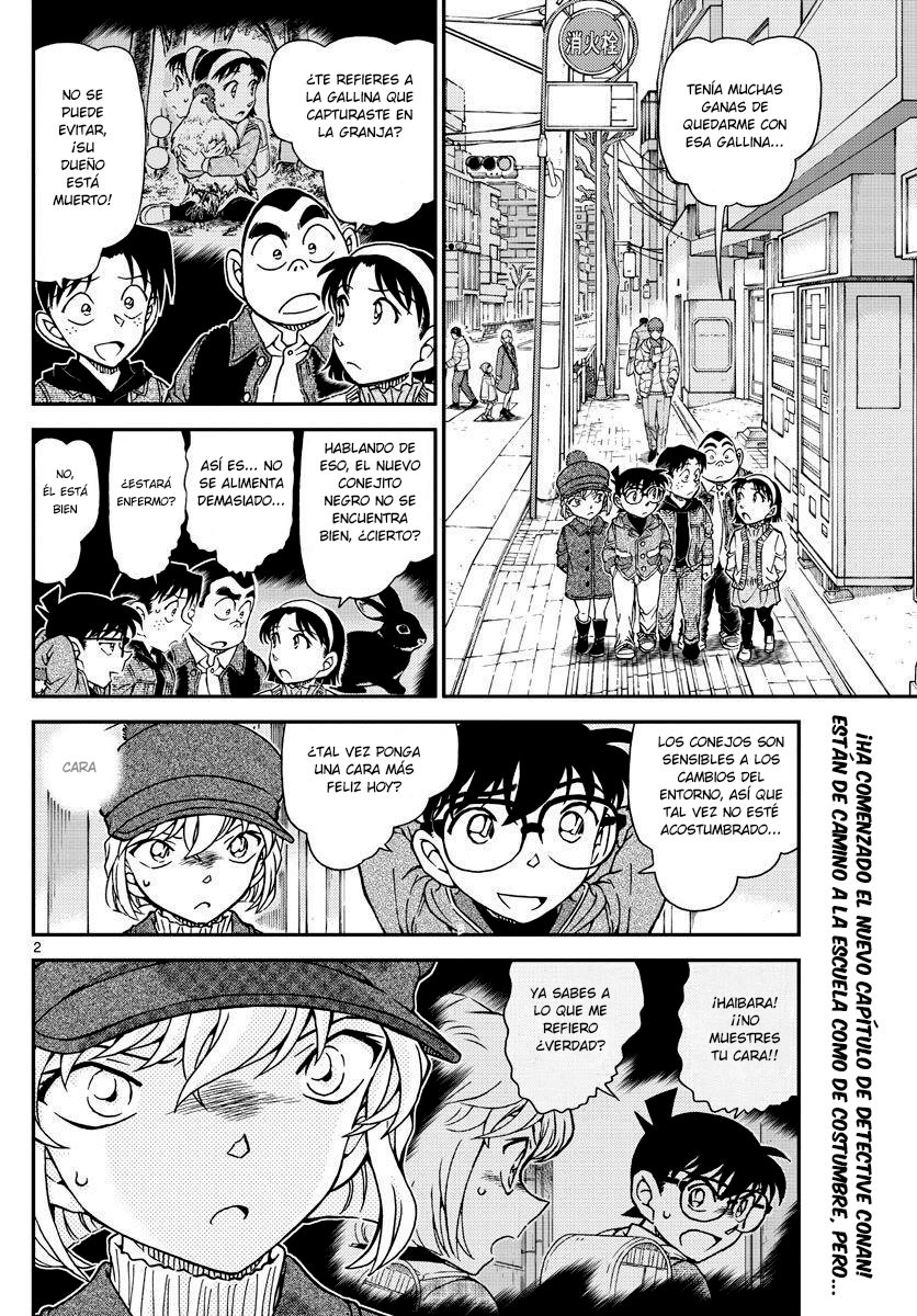 Detective Conan Capitulo 1070: Y pensar que nos veríamos en un lugar como este... página 3