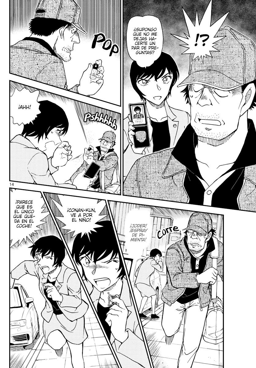 Detective Conan Capitulo 1080: El caso frío página 14