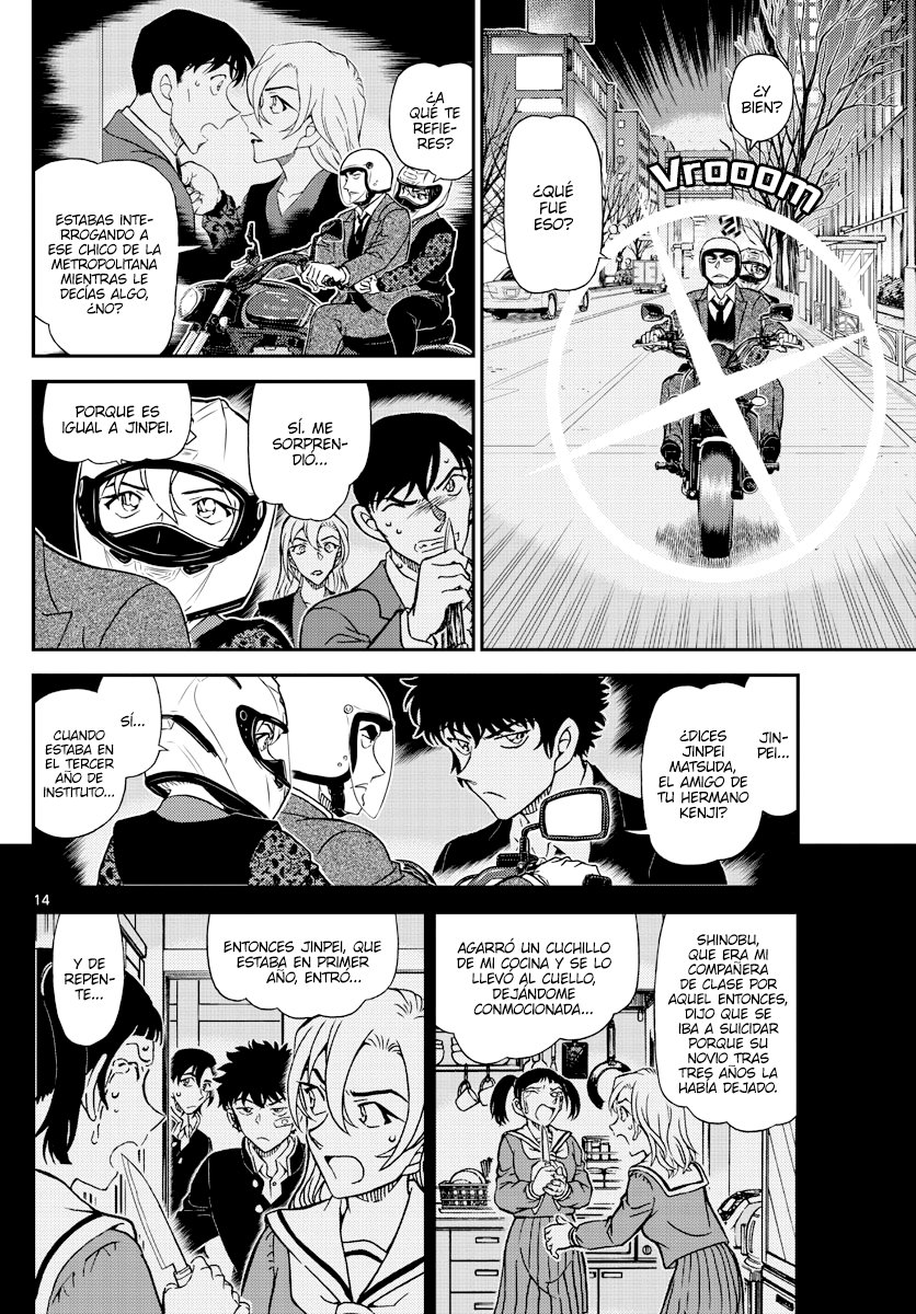 Detective Conan Capitulo 1087: Idiotas página 14