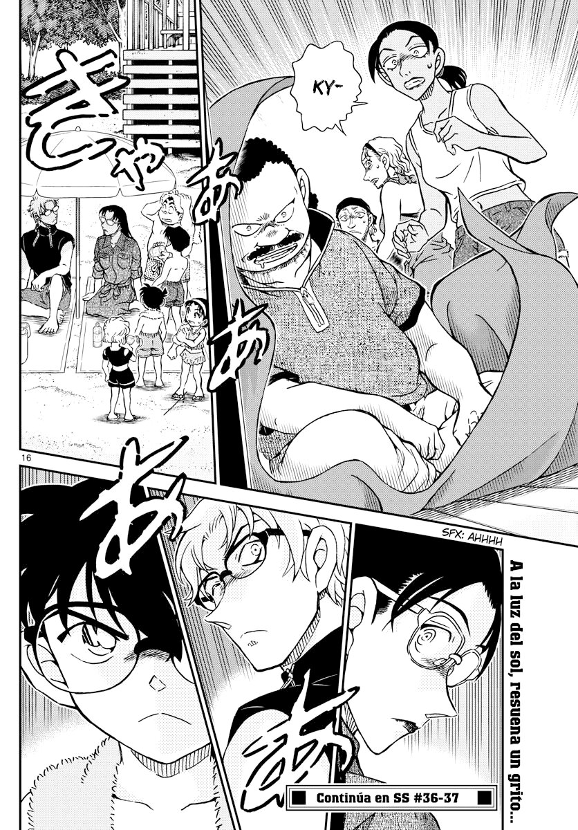 Detective Conan Capitulo 1097: Los acompañantes página 16