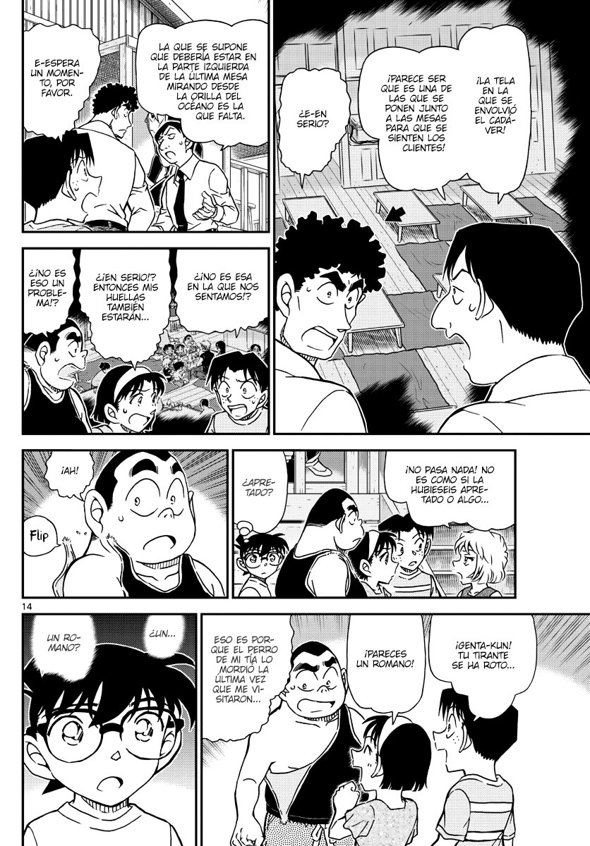 Detective Conan Capitulo 1098: La casa playera página 14