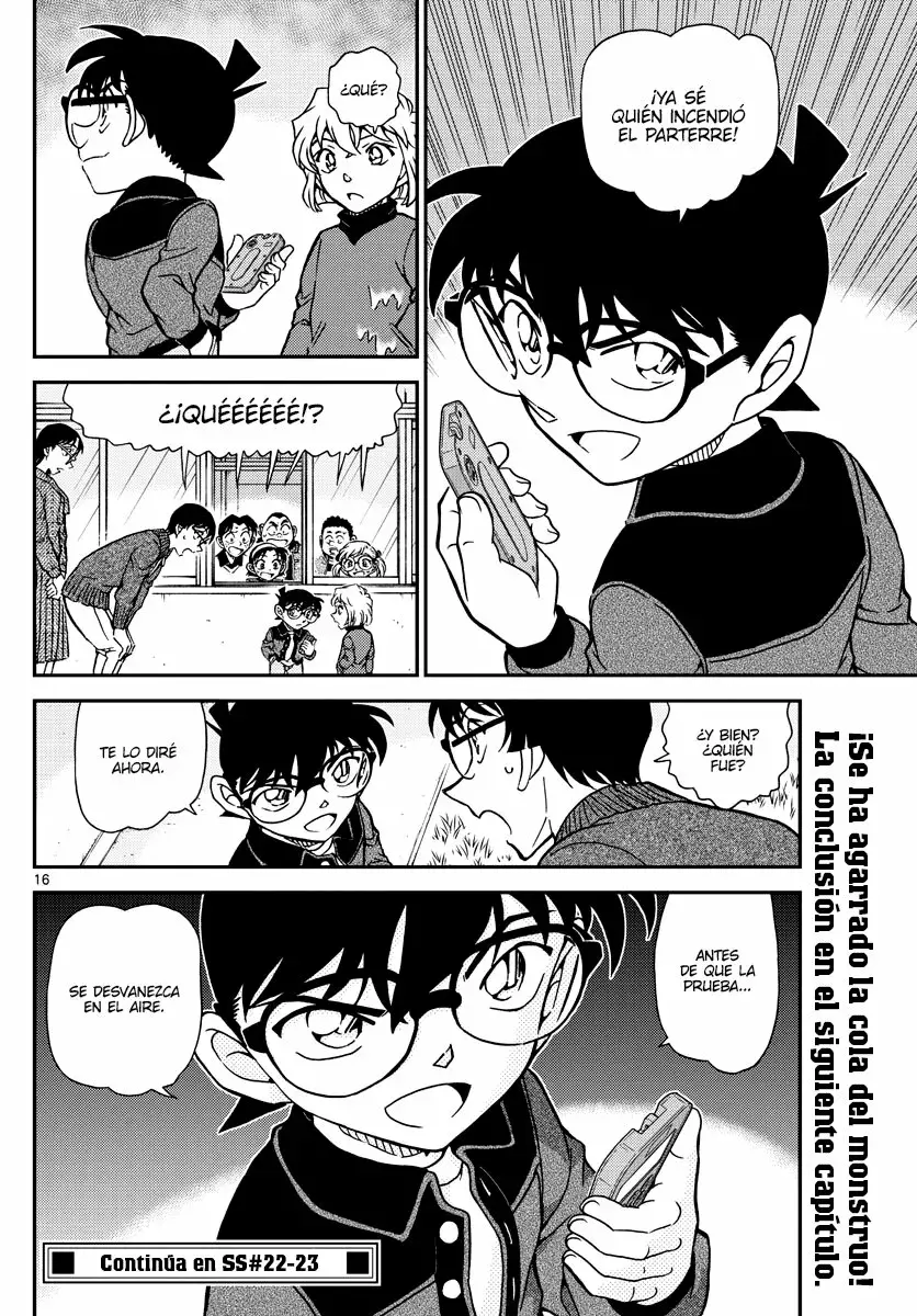 Detective Conan Capitulo 1111: El misterio del parterre página 16