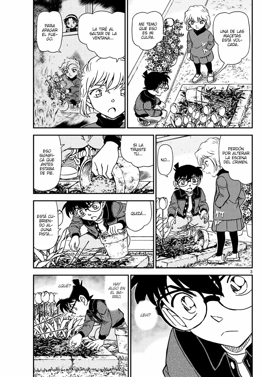 Detective Conan Capitulo 1111: El misterio del parterre página 3