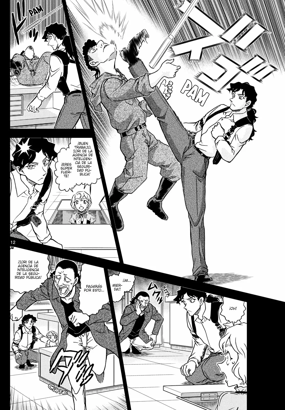 Detective Conan Capitulo 1114: El mayordomo y la señorita página 12