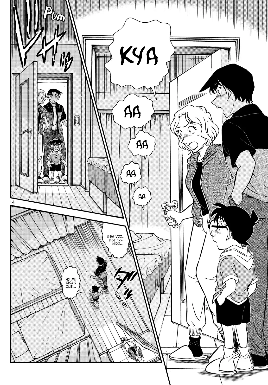 Detective Conan Capitulo 1130: El primer acto amarillo brillante página 14