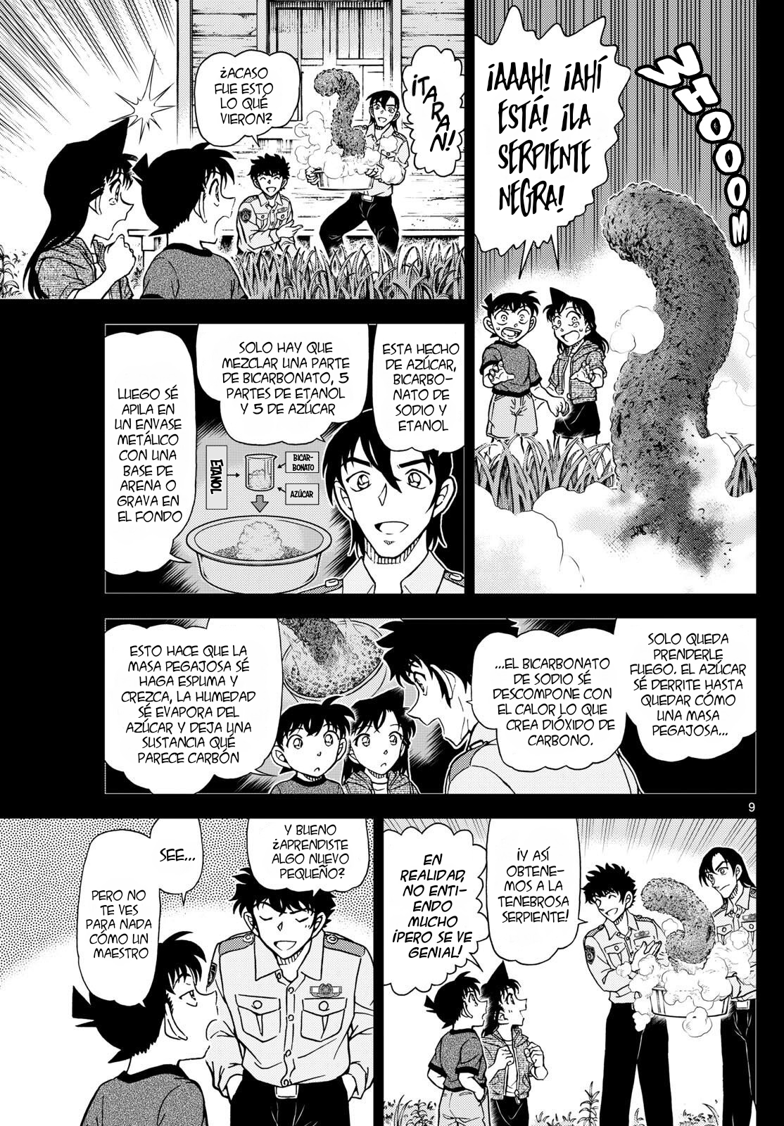 Detective Conan Capitulo 1135: Cortar el nudo gordiano página 11