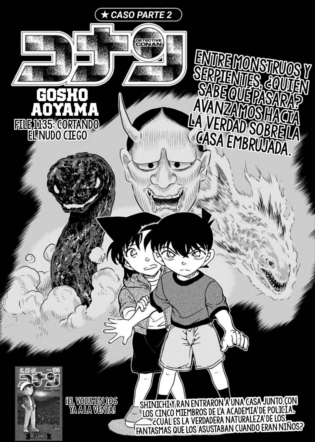 Detective Conan Capitulo 1135: Cortar el nudo gordiano página 3