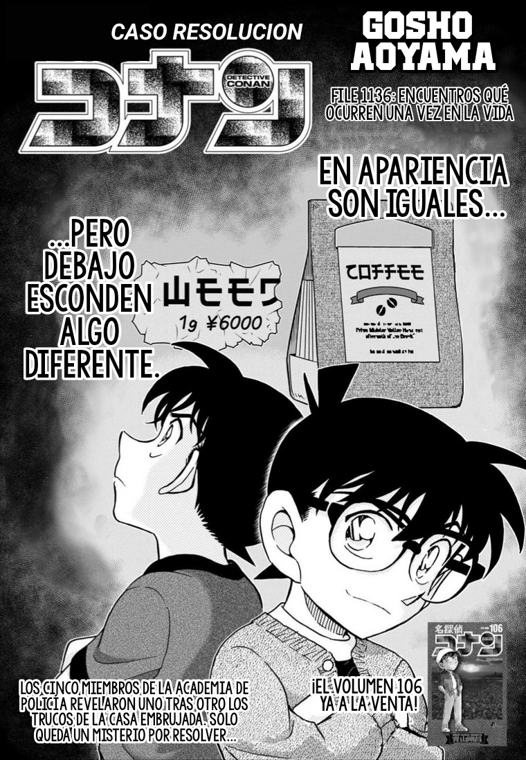 Detective Conan Capitulo 1136: Un encuentro único en la vida página 3