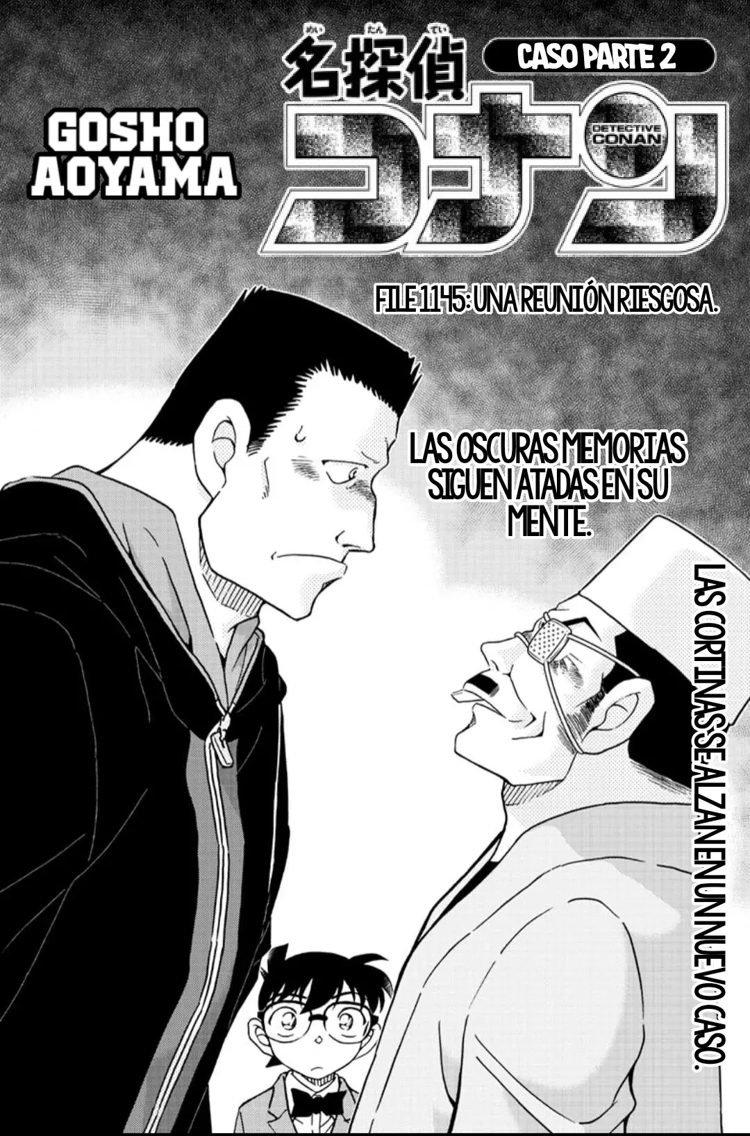 Detective Conan Capitulo 1145: Una reunión arriesgada página 2