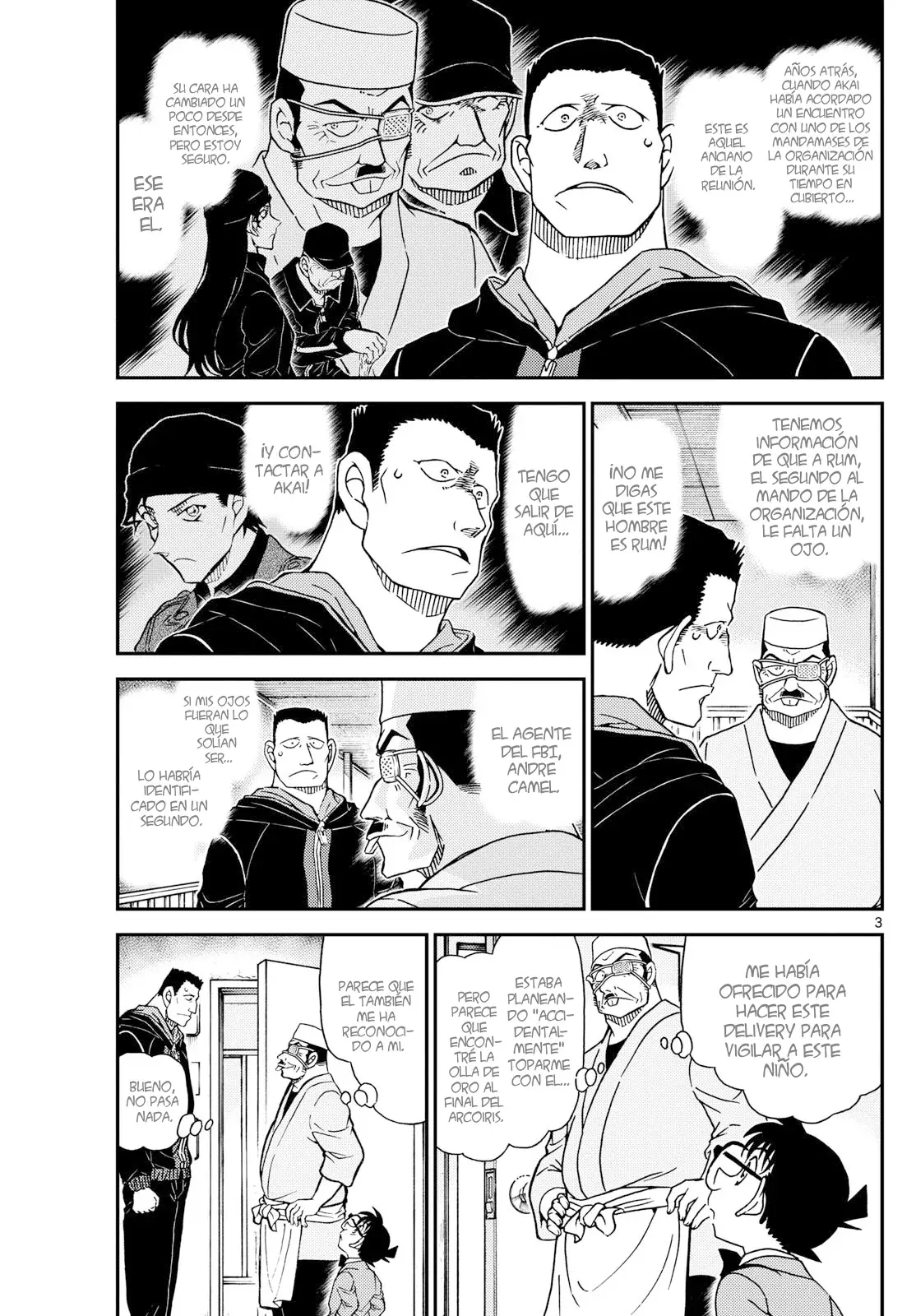 Detective Conan Capitulo 1147: Al borde del caos página 5