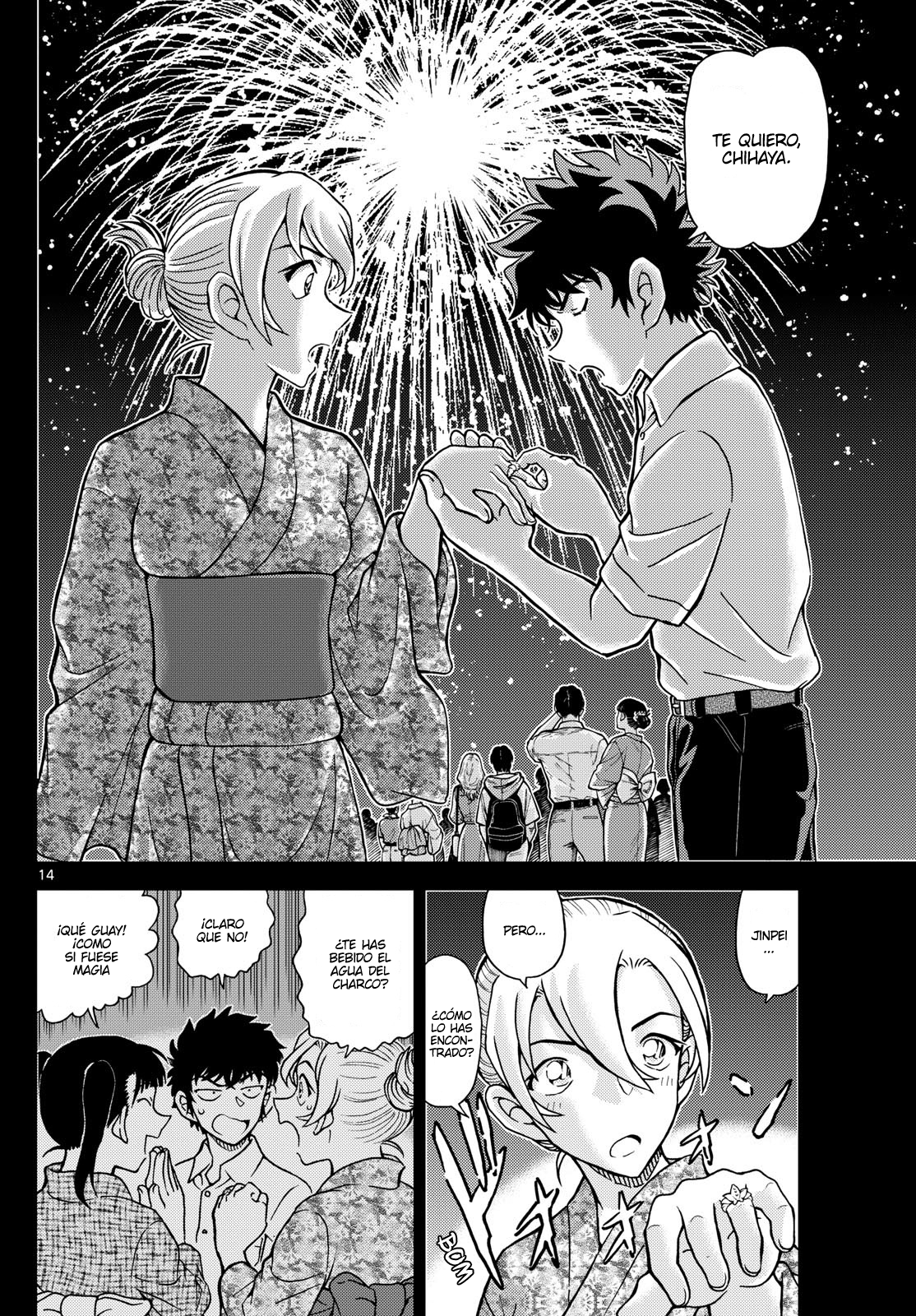 Detective Conan Capitulo 1156 página 14