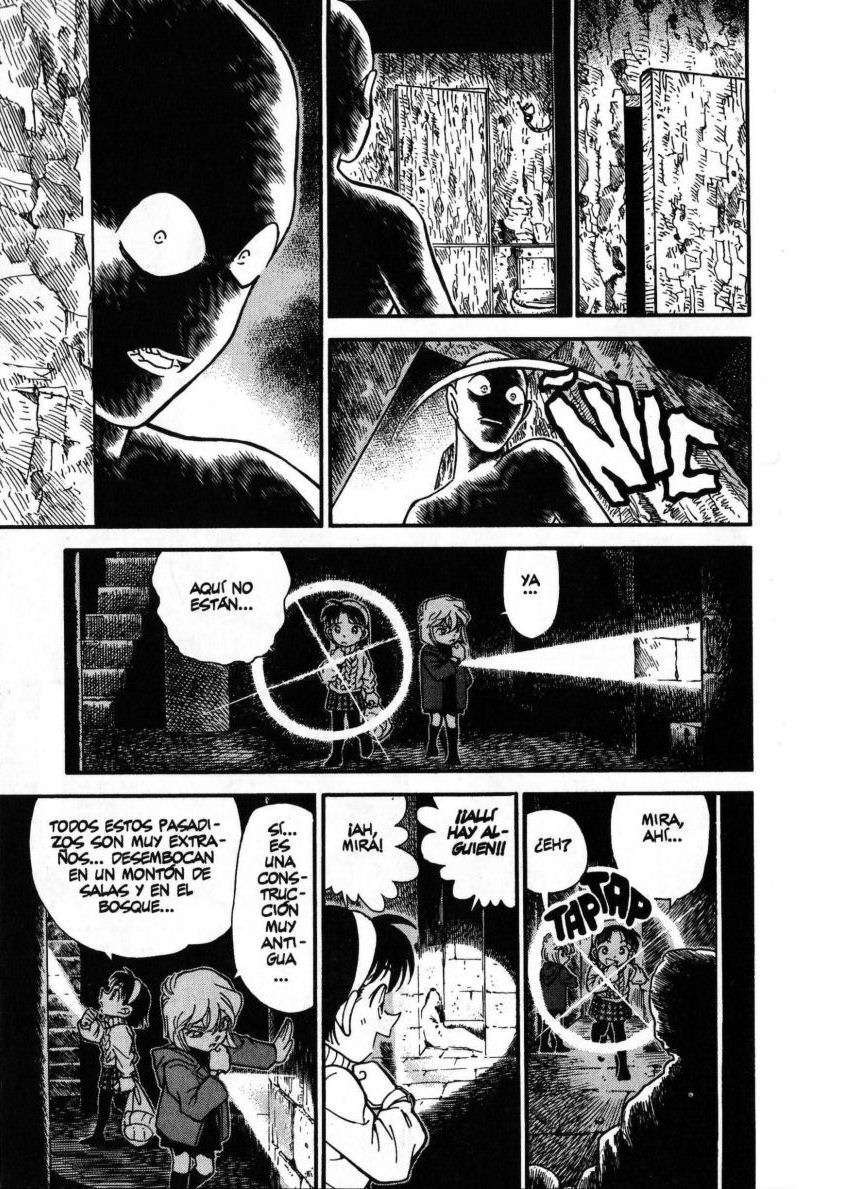 Detective Conan Capitulo 203: La torre de marfil página 8
