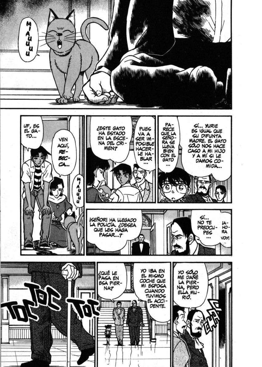 Detective Conan Capitulo 212: Dos a juego página 10