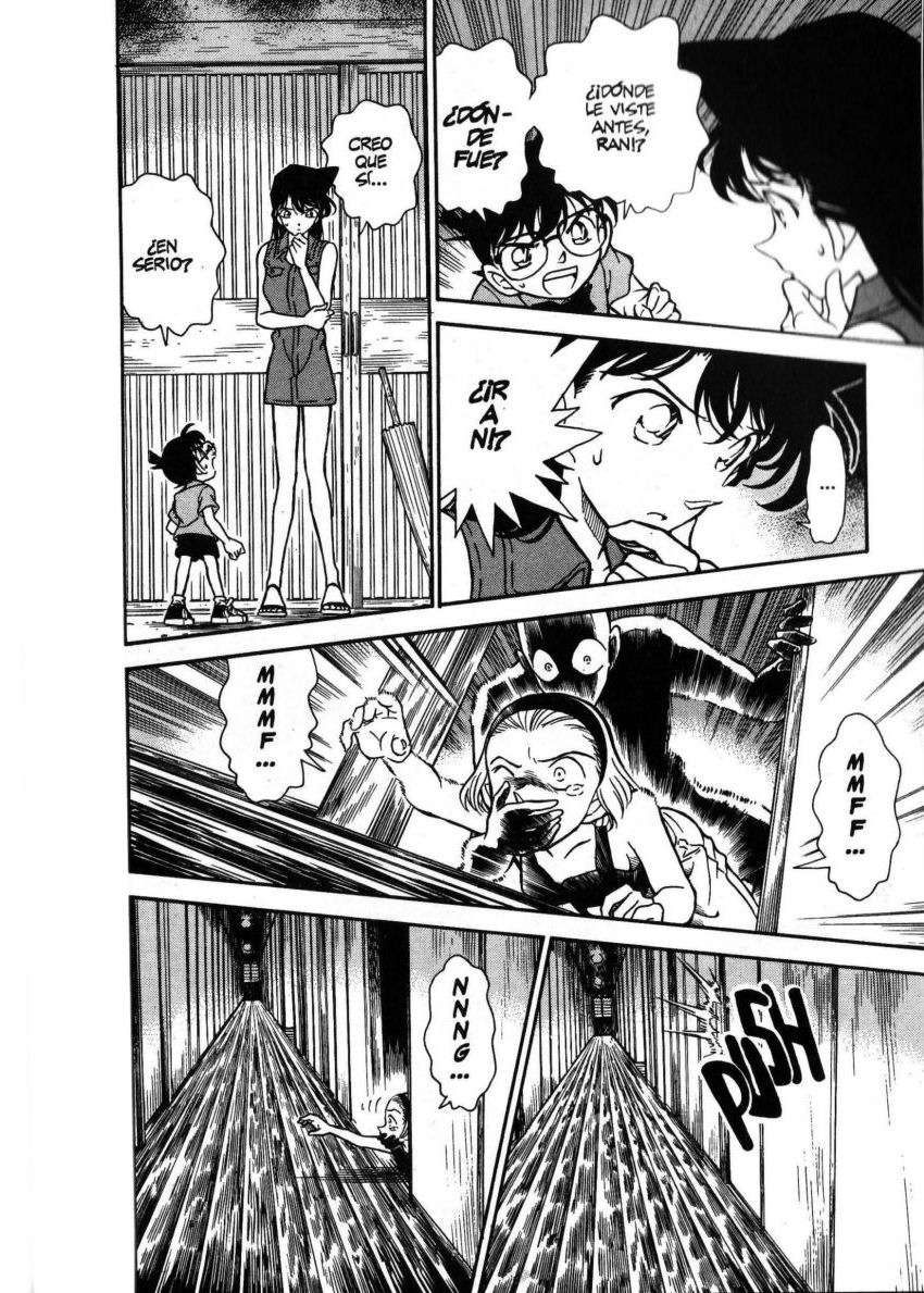 Detective Conan Capitulo 219: ¡Adelante, Sonoko! página 17