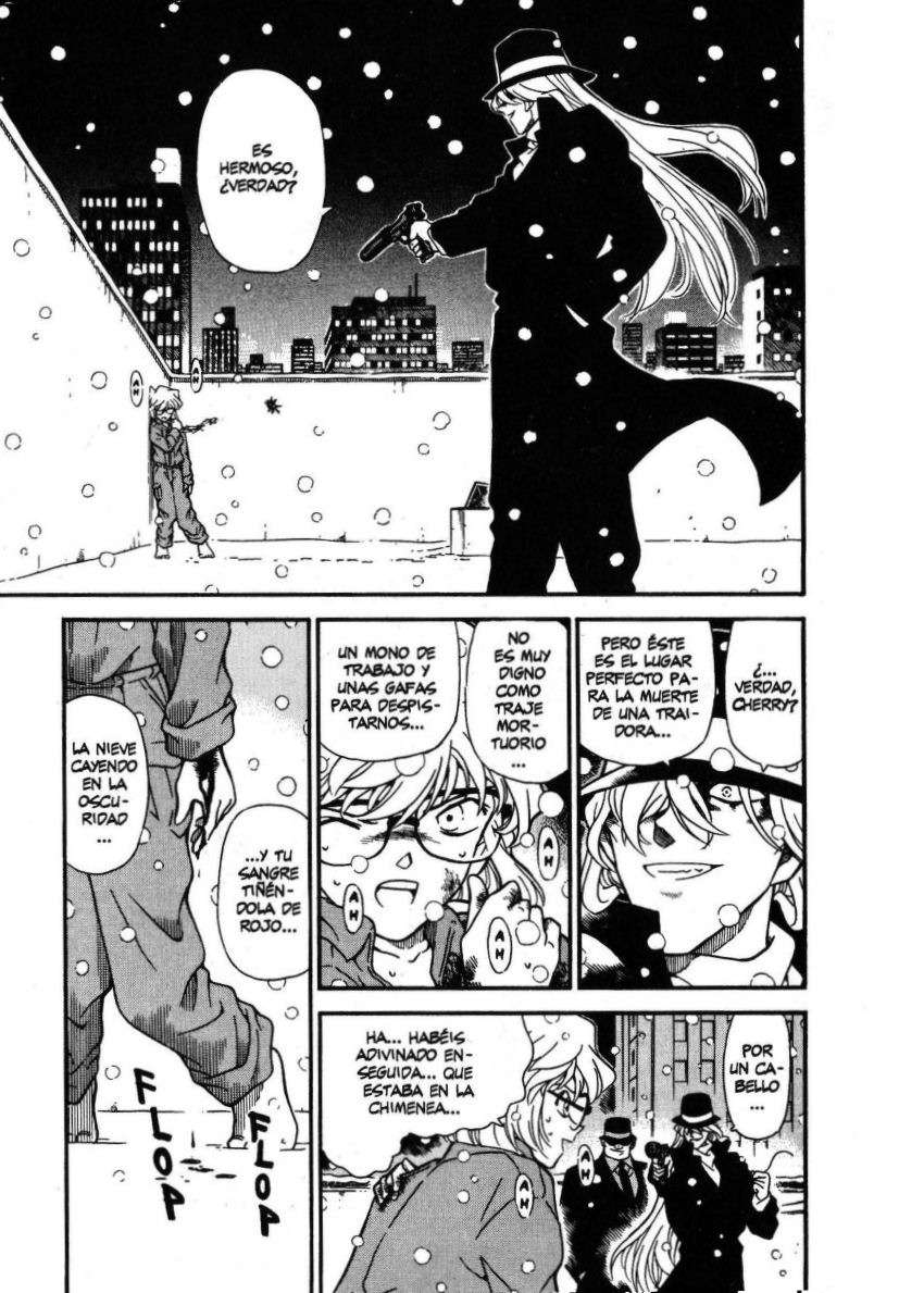 Detective Conan Capitulo 242: Un mundo blanco página 2