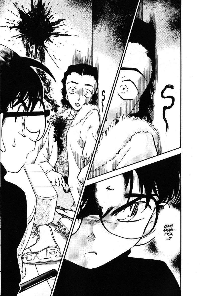 Detective Conan Capitulo 243: ¿¡Un compañero diferente!? página 18