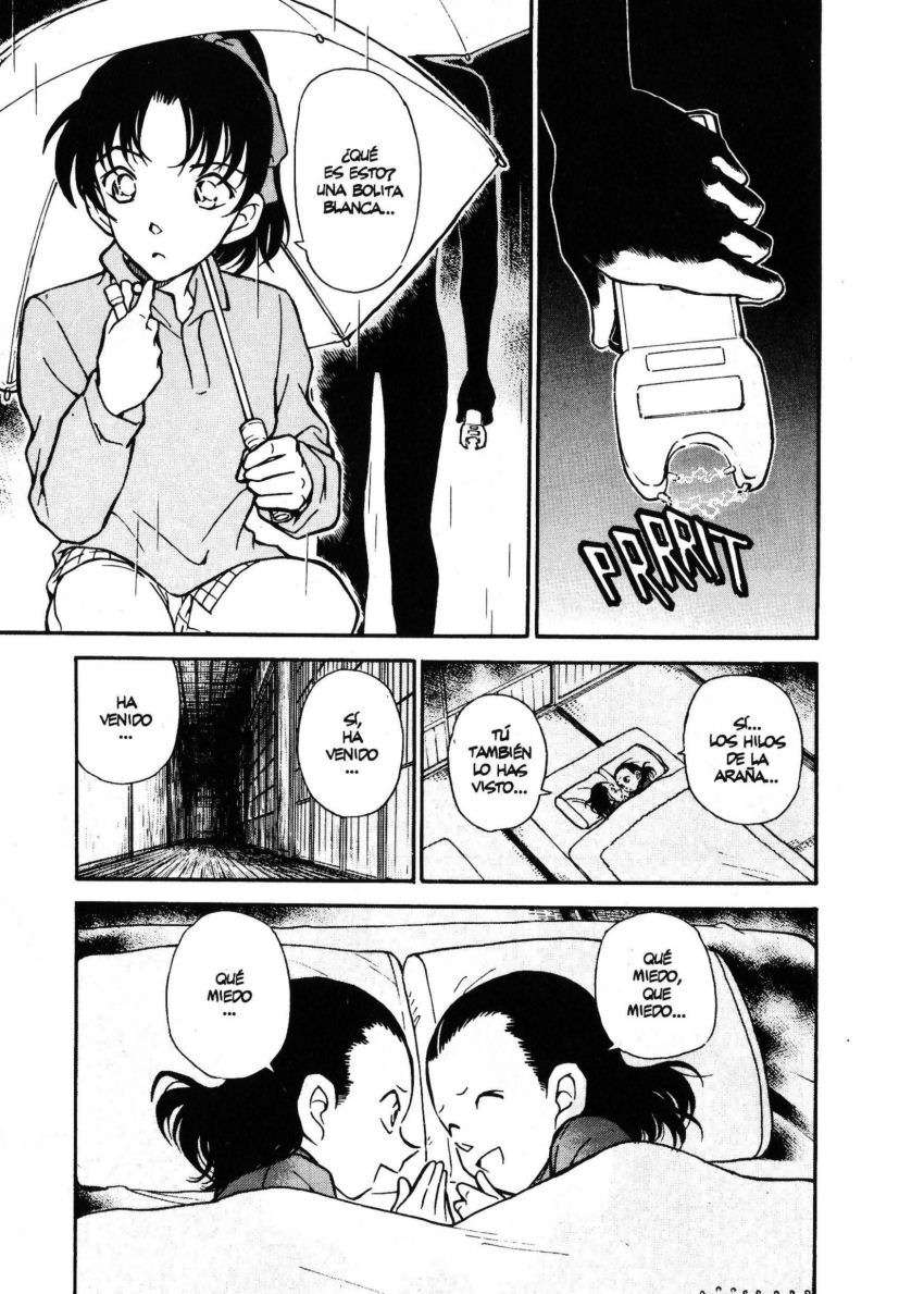 Detective Conan Capitulo 247: Una visión aterradora página 16